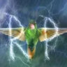 Selected profile picture