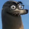 nokapt