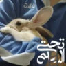 تحت السلم (f7ol)