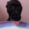 Matched profile picture