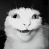 _.maatt._
