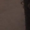 zxnbc
