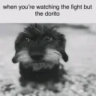 Matched profile picture