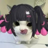 shrimpjiao