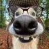 Selected profile picture
