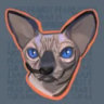 Selected profile picture