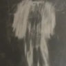 d.3.n