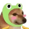 Matched profile picture