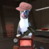 Selected profile picture