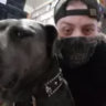 Matched profile picture