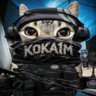 koka1358