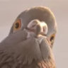 Matched profile picture