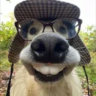Matched profile picture
