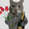 Selected profile picture