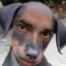 lanzinhu