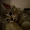 jeacy_