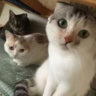 Matched profile picture