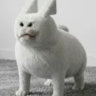 domboduck