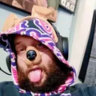 Selected profile picture