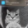 Selected profile picture