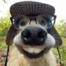 Matched profile picture