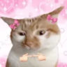 bbny_