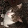 Selected profile picture