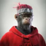 Matched profile picture