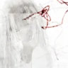 bloodshelll