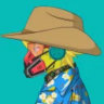 Selected profile picture