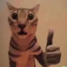 Matched profile picture