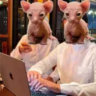 Matched profile picture