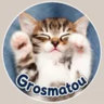 Serveur de Grosmatou