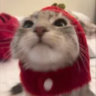 ssantokki