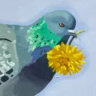 Selected profile picture