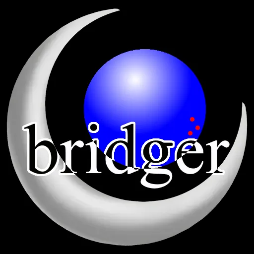 Bridger · Discord Server · disdex